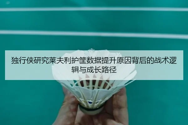 独行侠研究莱夫利护筐数据提升原因背后的战术逻辑与成长路径